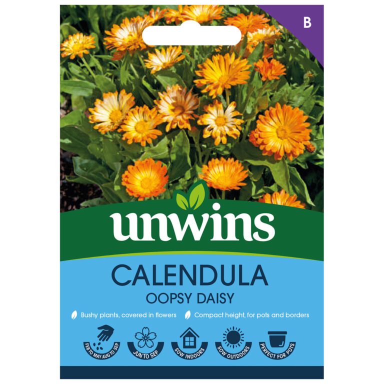 5051618025041 1 Calendula Oopsy Daisy Seeds.jpg